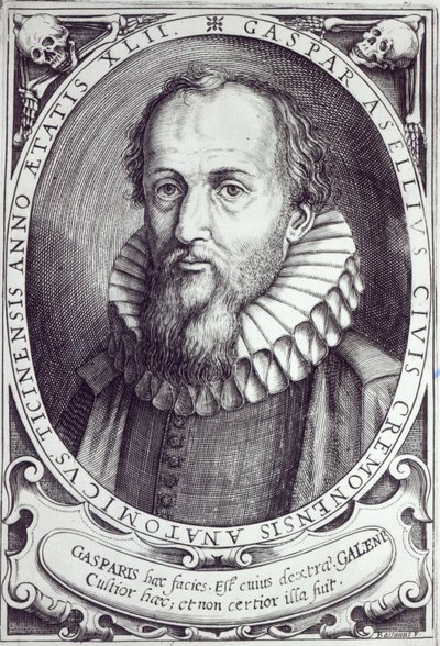 Gaspare Aselli by Cesare Bassano